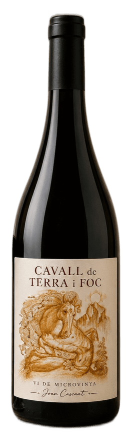Cavall de foc