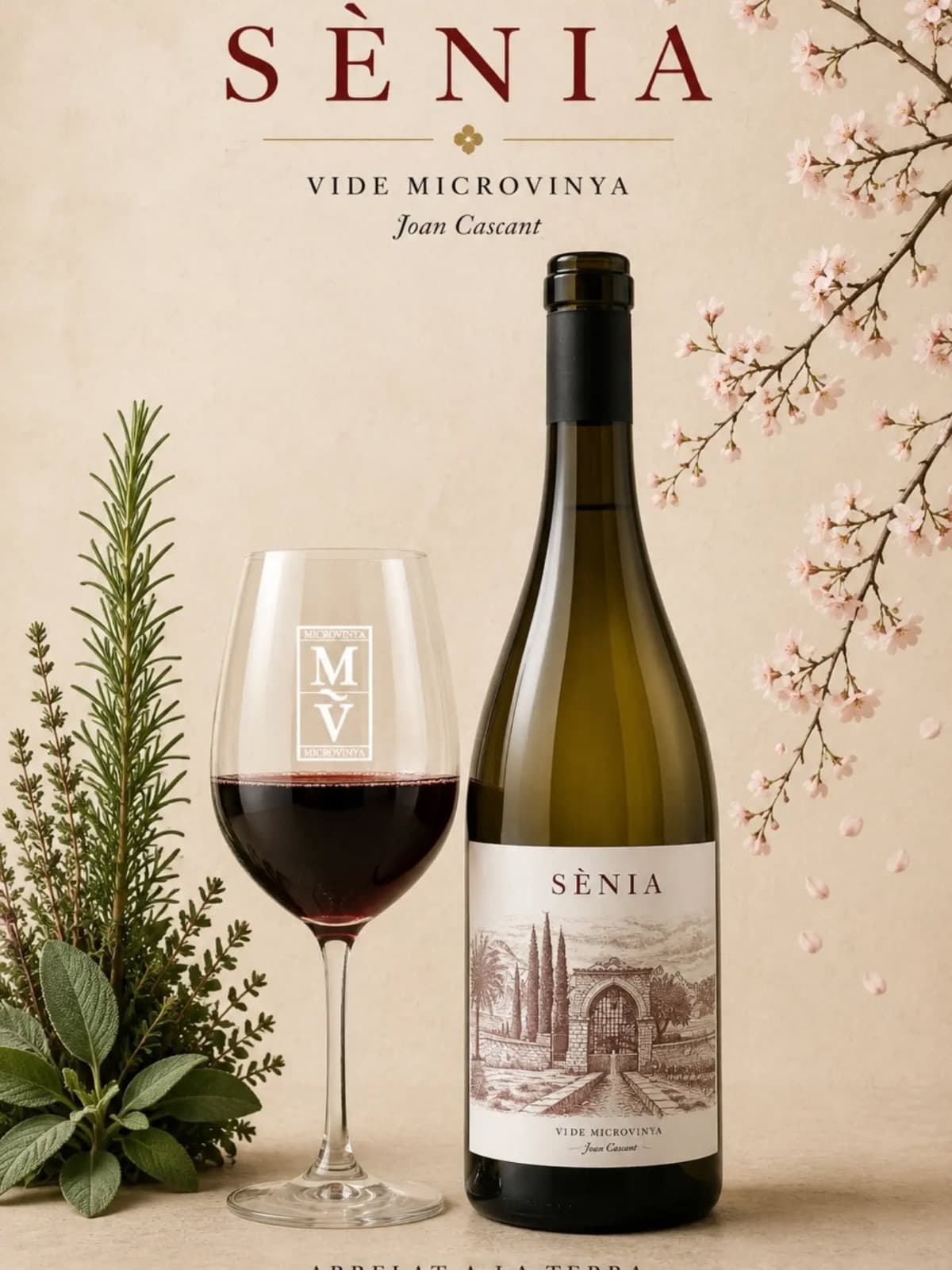 Sènia Negre