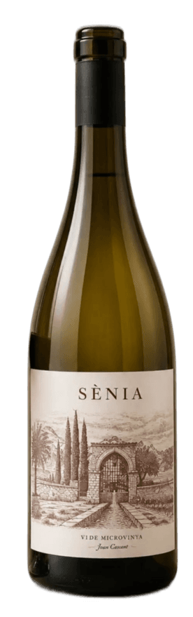 Senia Tinto